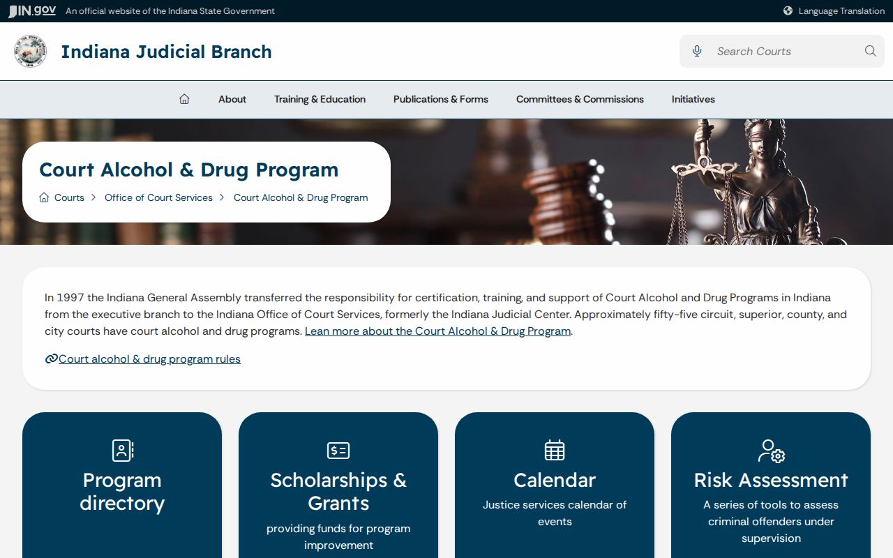 Fulton County criminal docket alcohol and drug program context